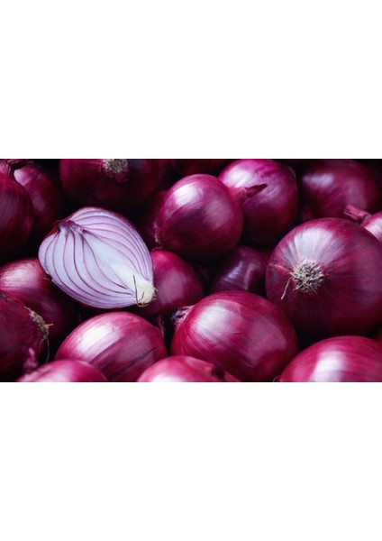Murat Tohum Süper Paket Hafif Acı Mor Soğan Tohumu 1500 Adet Tohum fırsatları