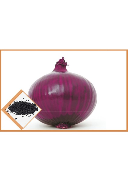 Murat Tohum Süper Paket Hafif Acı Mor Soğan Tohumu 1500 Adet Tohum indirimleri