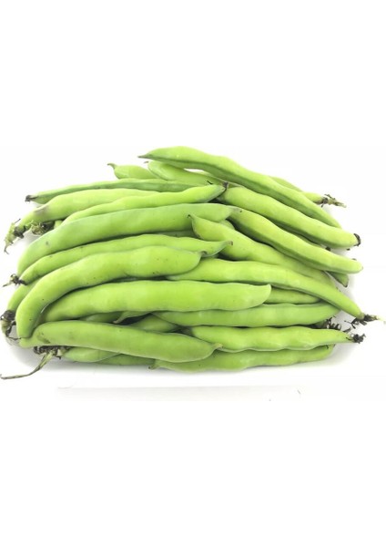 Murat Tohum Süper Paket Yerli Sakız Bakla Tohumu 150 Adet Dev Tohum fiyatları