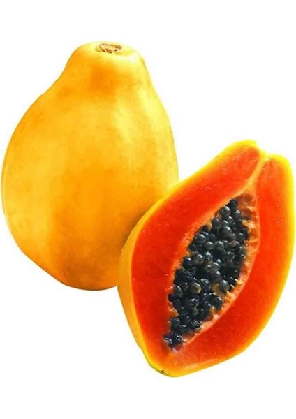 Murat Tohum Eko Paket Papaya Ağacı Tohumu Ithal Tropikal Papaya Ağacı Tohumu 15 Adet Tohum