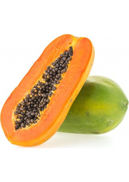Murat Tohum Eko Paket Papaya Ağacı Tohumu Ithal Tropikal Papaya Ağacı Tohumu 15 Adet Tohum fiyatları