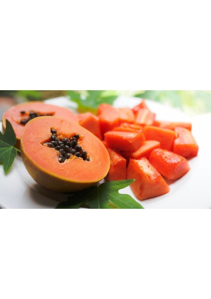 Murat Tohum Eko Paket Papaya Ağacı Tohumu Ithal Tropikal Papaya Ağacı Tohumu 15 Adet Tohum fırsatları