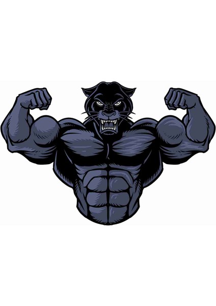Panter Bodybuilding Sticker - 17246