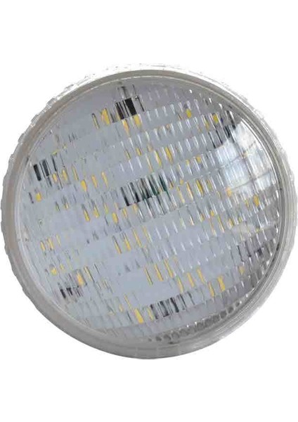 LED Havuz Lambası Ampulü (Gün Işığı) fiyatları