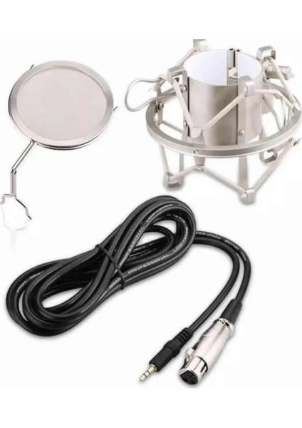 K-Cm 700 Profesyonel Stüdyo Kondenser Mikrofonu