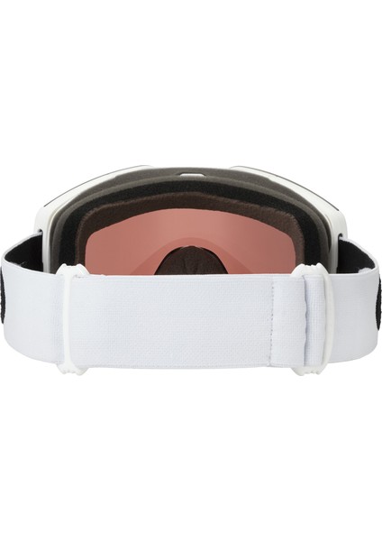 Fall Line Goggle