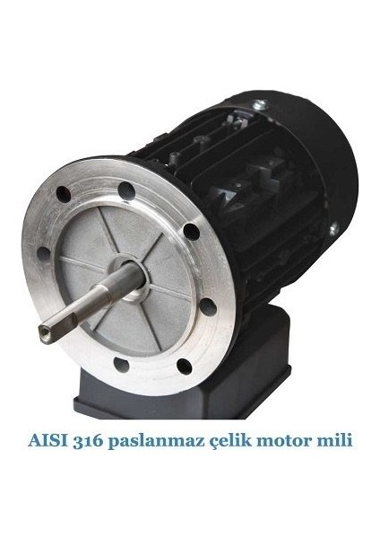 Havuz Pompası Streamer Mini 3/4 Hp 220 Volt