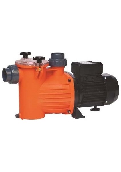 Havuz Pompası 1 Hp 220 Volt