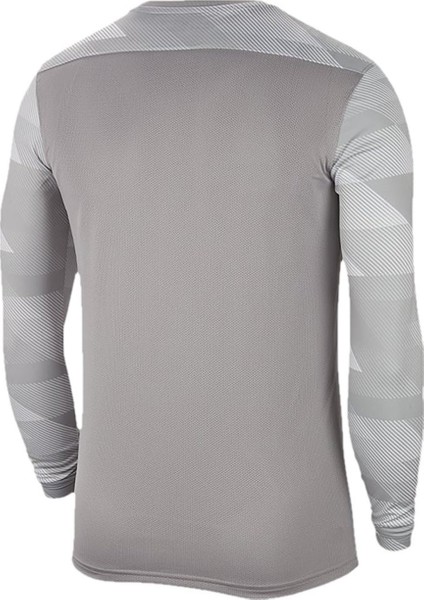 CJ6066 M Nk Dry Park Iv Erkek Futbol Kaleci Forması fiyatları