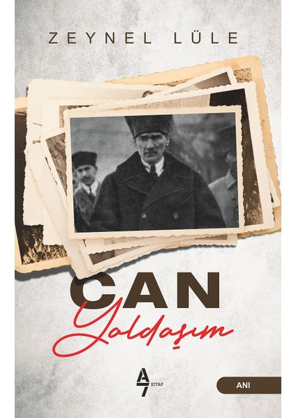 Can Yoldaşım - Zeynel Lüle
