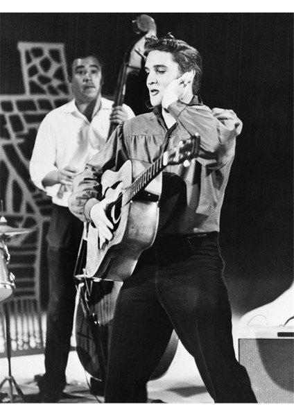 Elvis Presley Kanvas Tablo