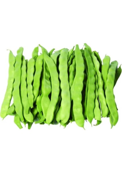 Sarı Kız 40 Günlük Fasülye Tohumu 500 gr. (1300+ Adet) Erkenci Oturak Fasulye Tohumu