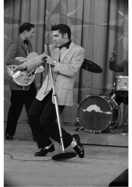 Elvis Presley Kanvas Tablo