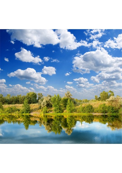 Yeşil Yansıyan Manzara Kanvas Tablo