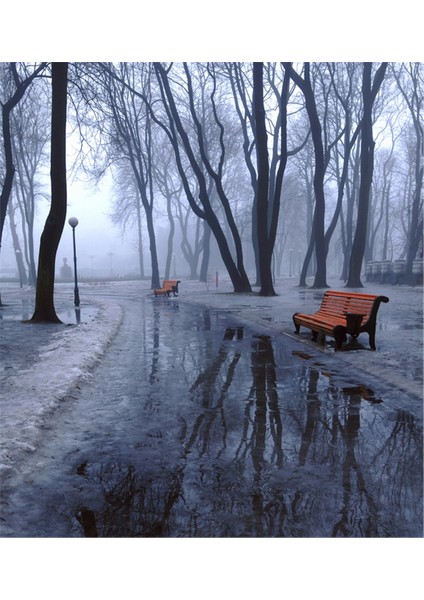 Kar Yağışıyla Buz Tutmuş Park Kanvas Tablo