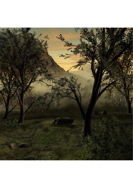 Yeşil Doğa Kanvas Tablo