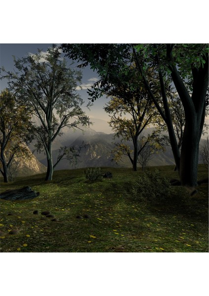 Yeşil Doğa Kanvas Tablo