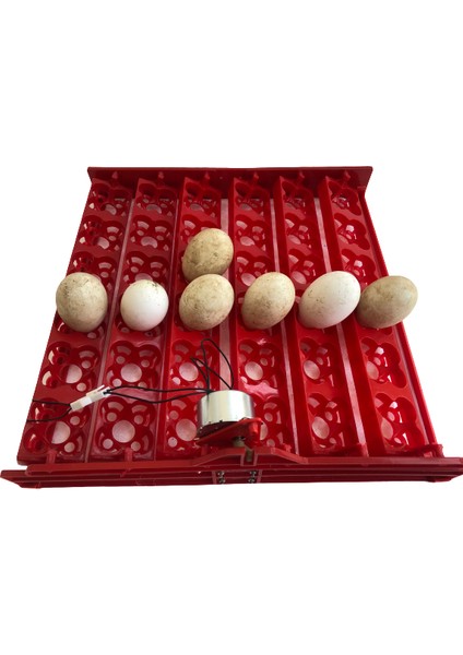 36 Multifonksiyonel Kuluçka Makinesi fiyatları