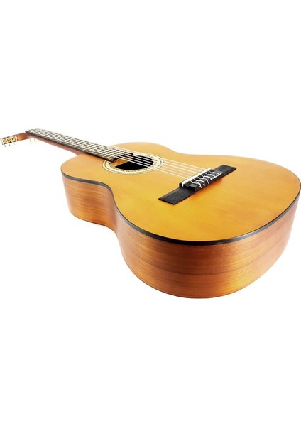 Valencıa VC204 Klasik Gitar ( Kılıf ve Pena ) fiyatları