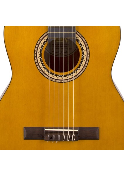 Valencıa VC204 Klasik Gitar ( Kılıf ve Pena ) modelleri