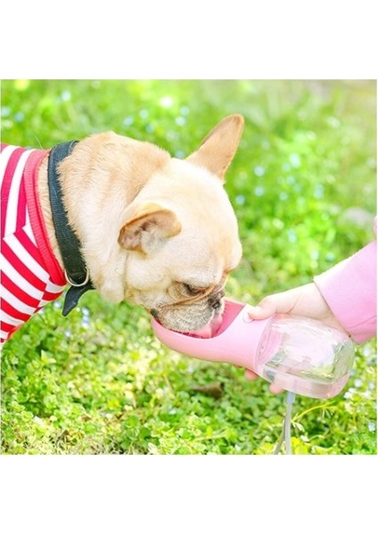 Taşınabilir Kedi Köpek Suluğu Seyahat Su Şişesi Kaseli Emniyetli Sızdırmaz Kutulu 350ML