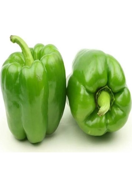 Biber Tohumu Antep Acı 3 G ~ 240 Tohum