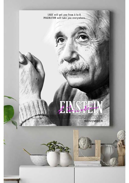 Einstein Bilimsel Kanvas Tablo 21 x 30 cm