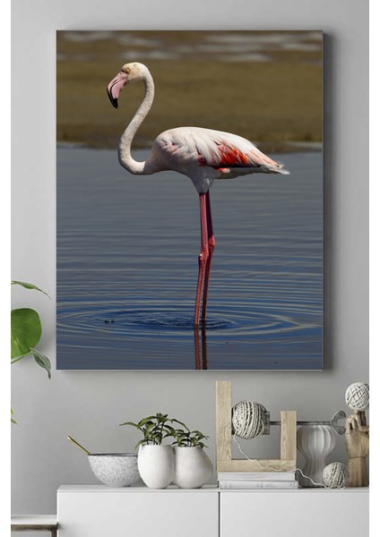 Flamingo Hayvan Kanvas Tablo 21 x 30 cm