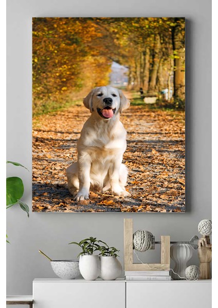 Golden Retriever Hayvan Kanvas Tablo 21 x 30 cm