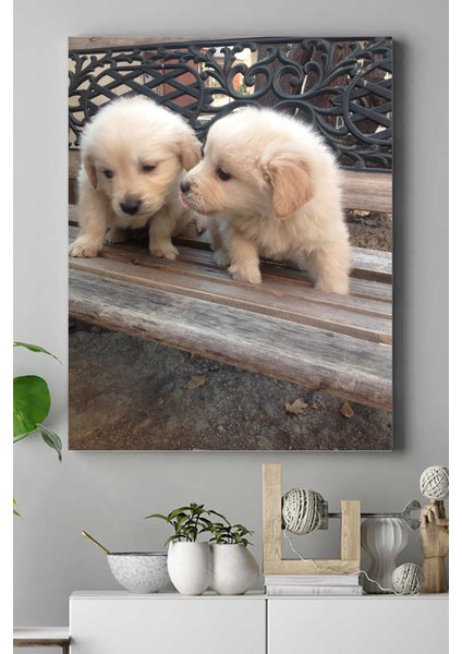 Golden Retriever Hayvan Kanvas Tablo 2 21 x 30 cm