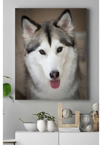 Husky Hayvan Kanvas Tablo 21 x 30 cm
