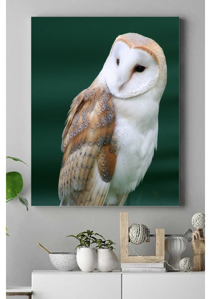 Baykuş Hayvan Kanvas Tablo 2 21 x 30 cm