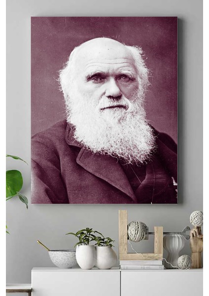 Charles Darwin Bilimsel Kanvas Tablo 2 21 x 30 cm