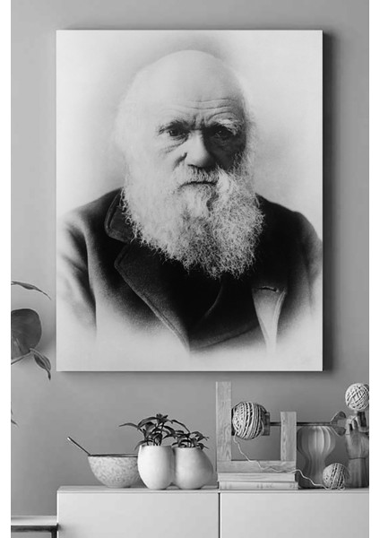 Charles Darwin Bilimsel Kanvas Tablo 3 21 x 30 cm