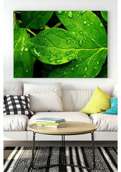 Yaprak Sanatsal Kanvas Tablo 21 x 30 cm