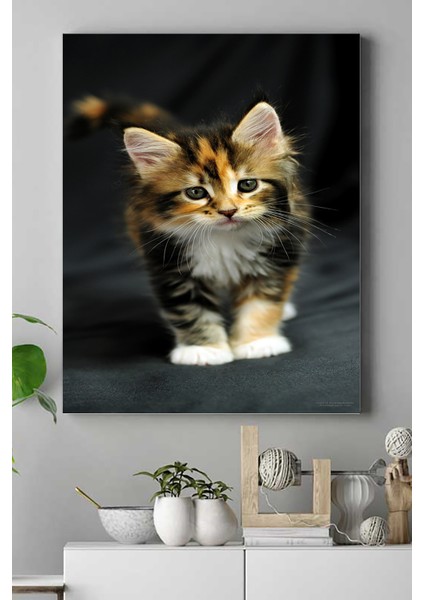 Kedi Hayvan Kanvas Tablo 2 21 x 30 cm