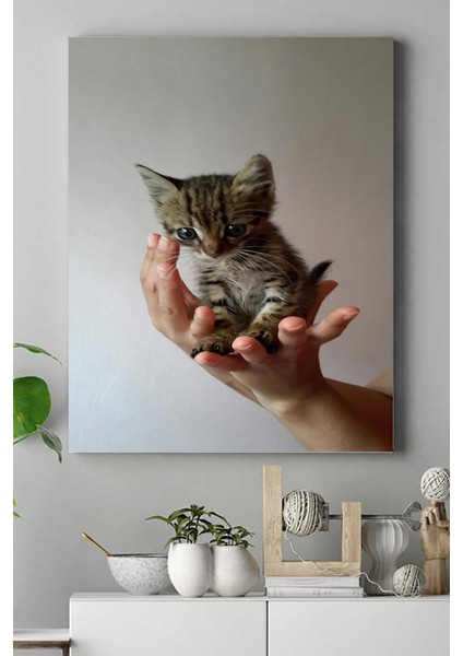 Kedi Hayvan Kanvas Tablo 4 21 x 30 cm