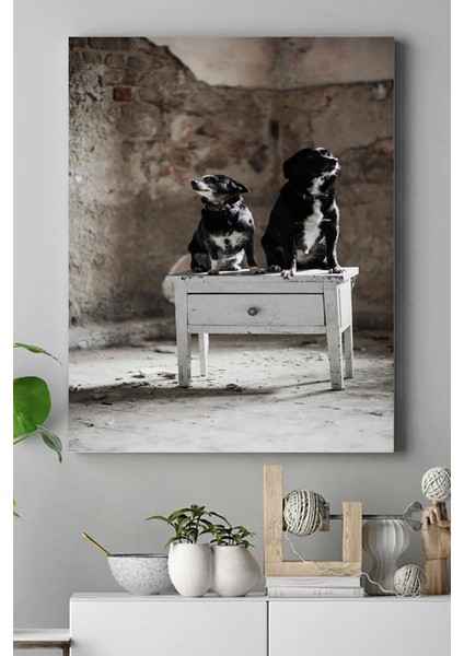 Köpek Hayvan Kanvas Tablo 21 x 30 cm