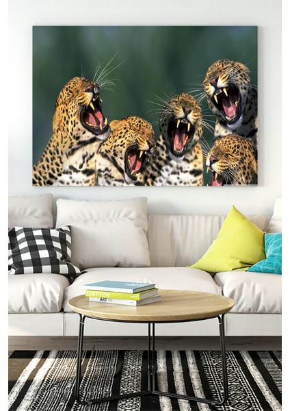 Gülen Leoparlar Eğlenceli Mizahi Kanvas Tablo 21 x 30 cm