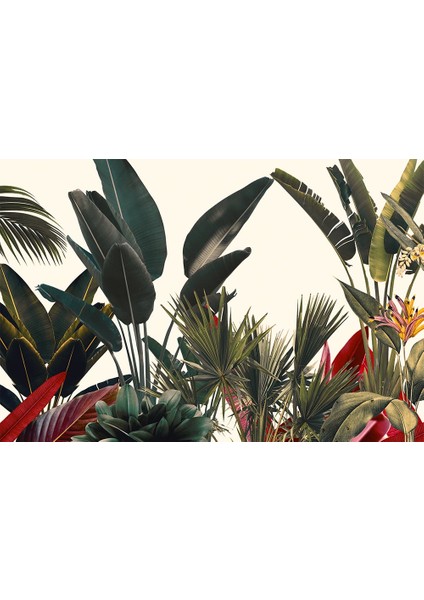 Renkli Tropikal Yapraklar Duvar Kağıdı fiyatları