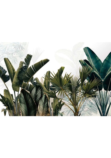 Büyük Renkli Tropikal Yapraklar Özel Tasarım Duvar Kağıdı fiyatları