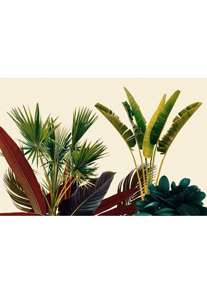 Özel Tasarım Büyük Renkli Tropikal Yapraklar Duvar Kağıdı fiyatları