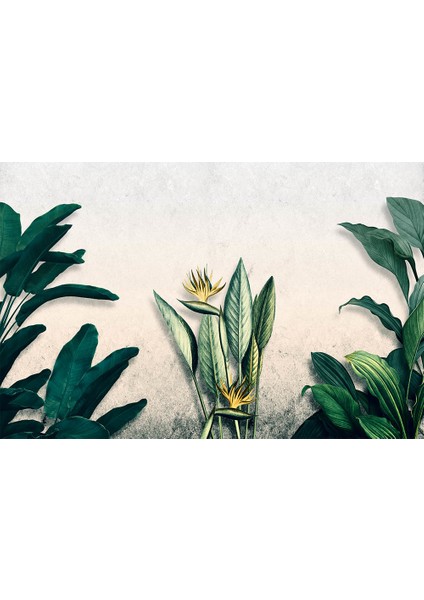 Özel Tasarım Büyük Tropikal Yapraklı Duvar Kağıdı fiyatları
