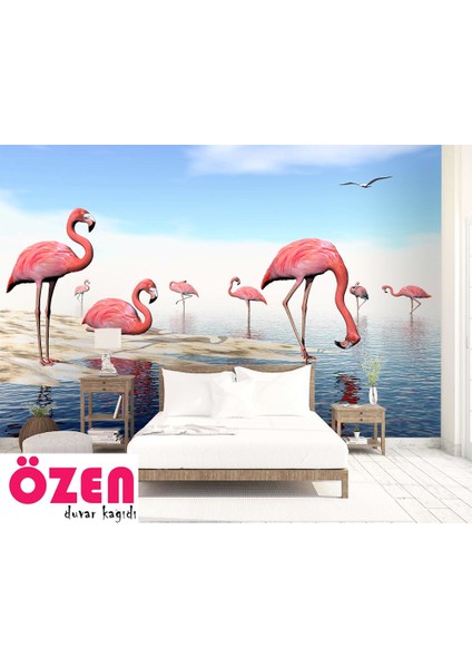 Su Üzerinde Pembe Flamingolar Duvar Kağıdı