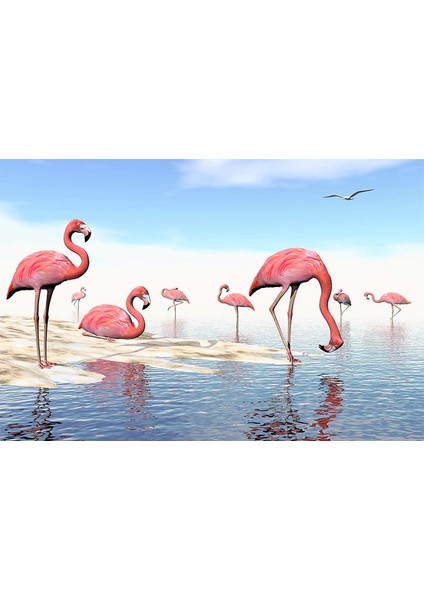 Su Üzerinde Pembe Flamingolar Duvar Kağıdı