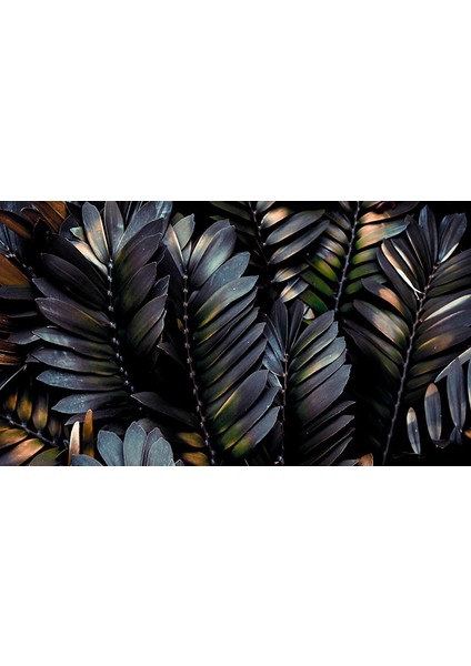 Koyu Renk Tropikal Yapraklar Duvar Kağıdı fiyatları
