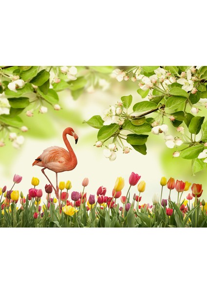 Flamingo Desenli Duvar Kağıdı