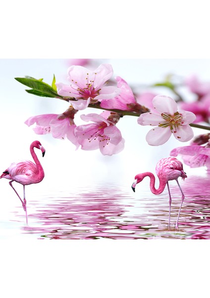 Flamingo Desenli Duvar Kağıdı fiyatları