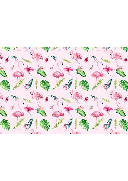 Flamingo Desenli Duvar Kağıdı