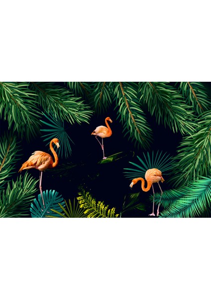 Flamingo Desenli Duvar Kağıdı